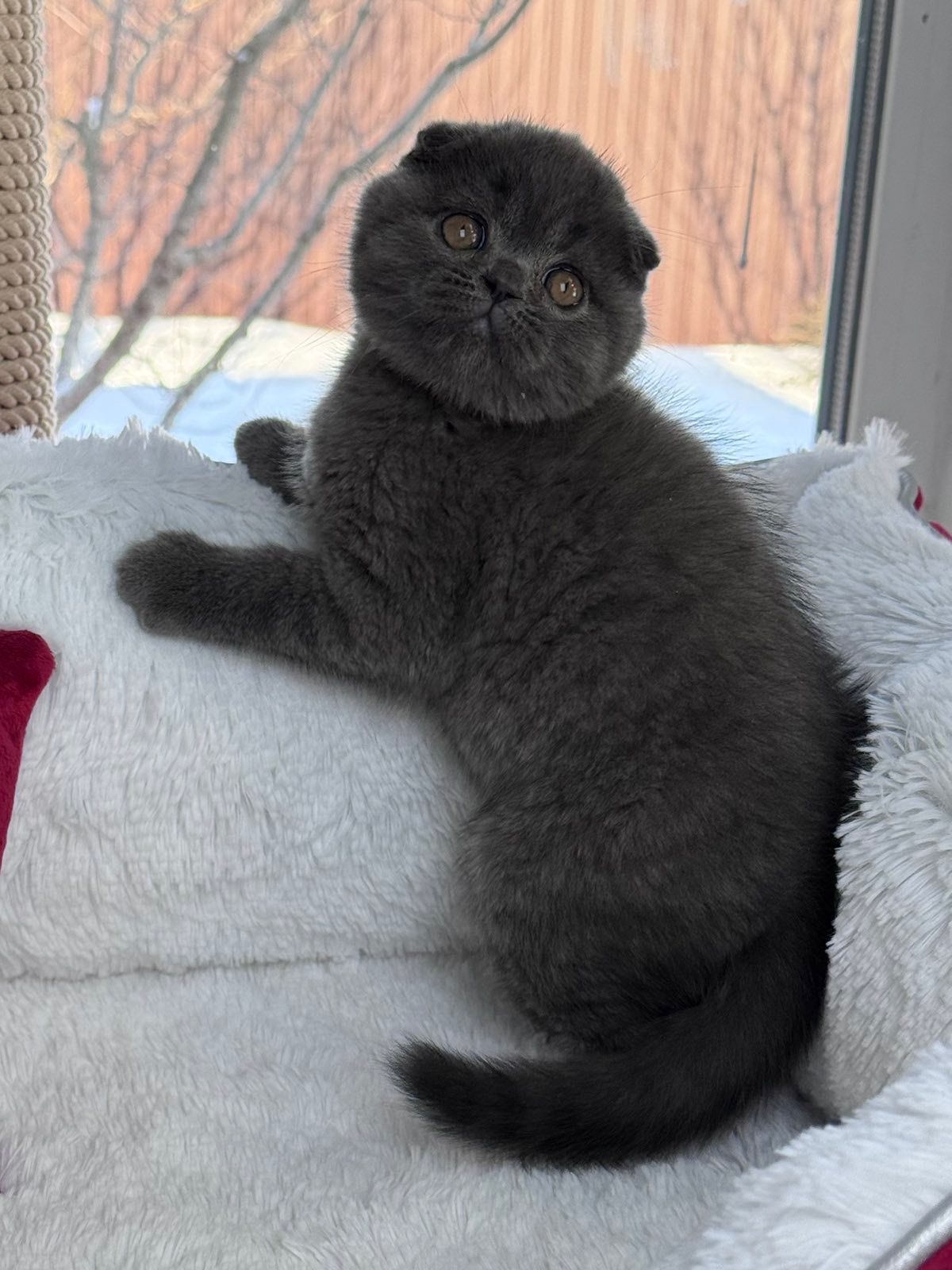 WhatsApp Image 2026-02-24 at 20.26.10 (2)