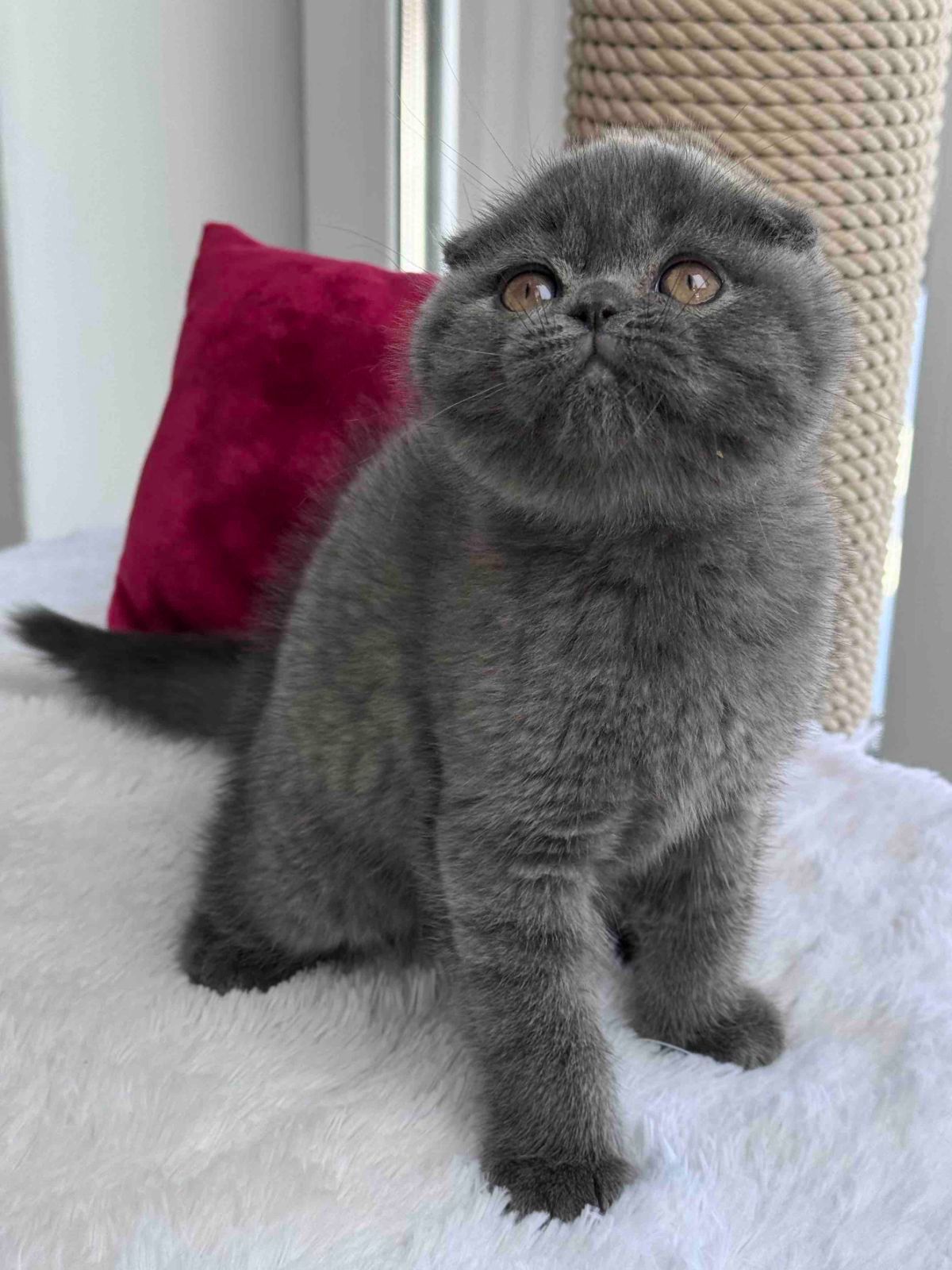 WhatsApp Image 2026-02-24 at 20.26.10 (3)