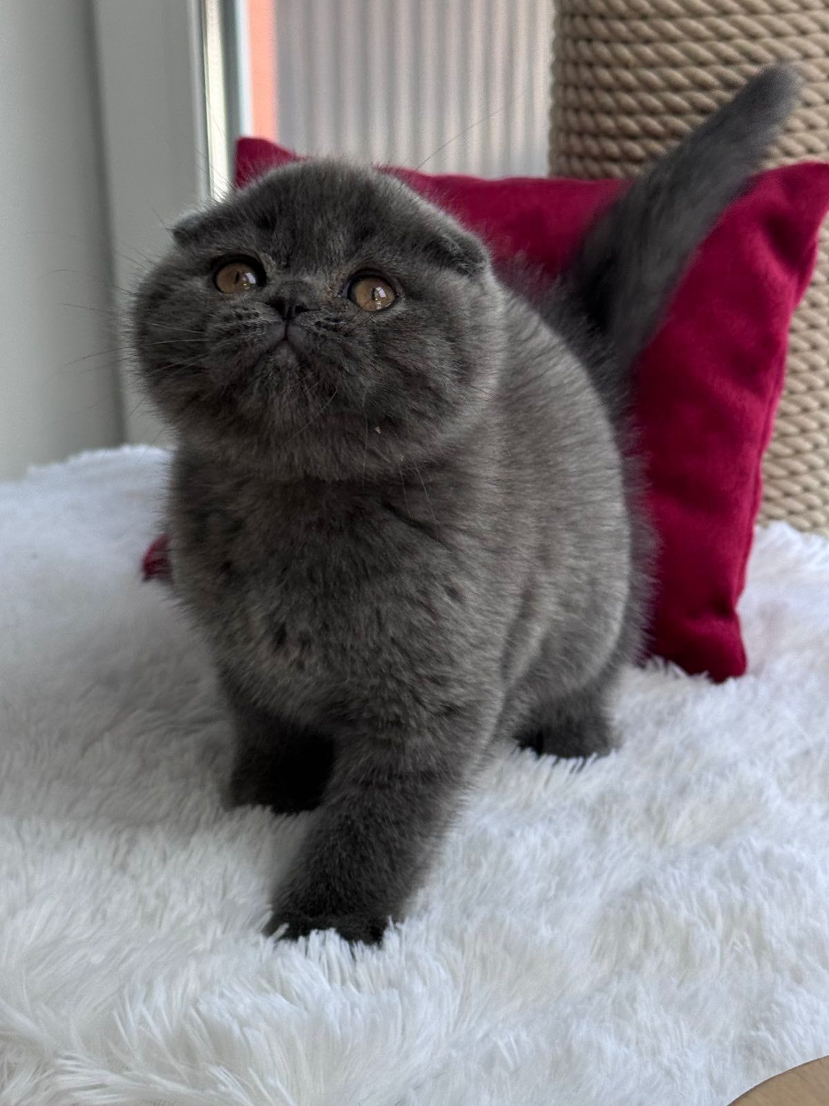 WhatsApp Image 2026-02-24 at 20.26.10 (5)