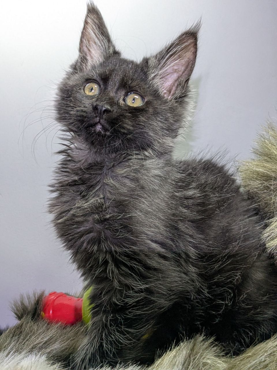 WhatsApp Image 2026-02-24 at 20.27.53 (1)