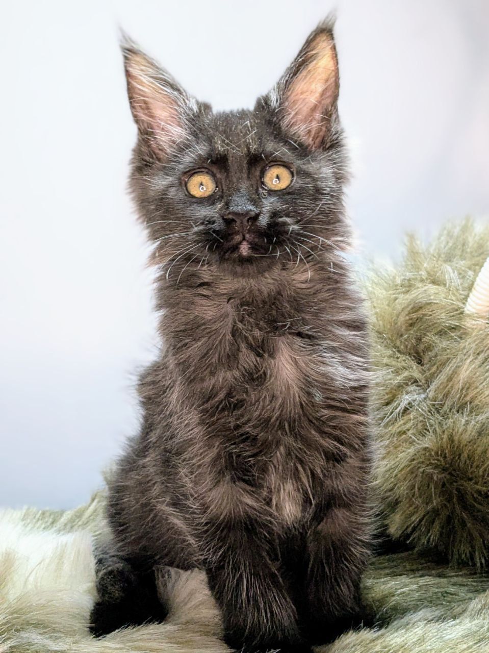 WhatsApp Image 2026-02-24 at 20.27.53 (2)