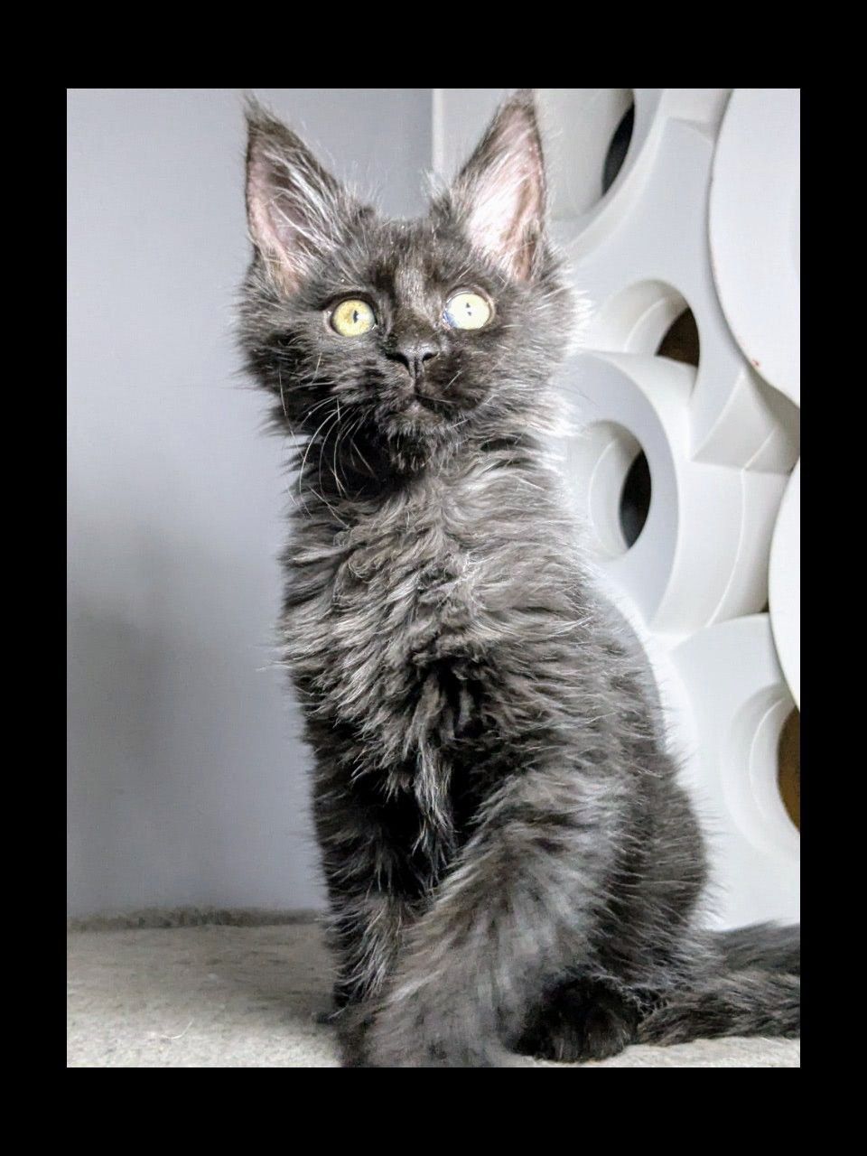 WhatsApp Image 2026-02-24 at 20.27.53 (3)