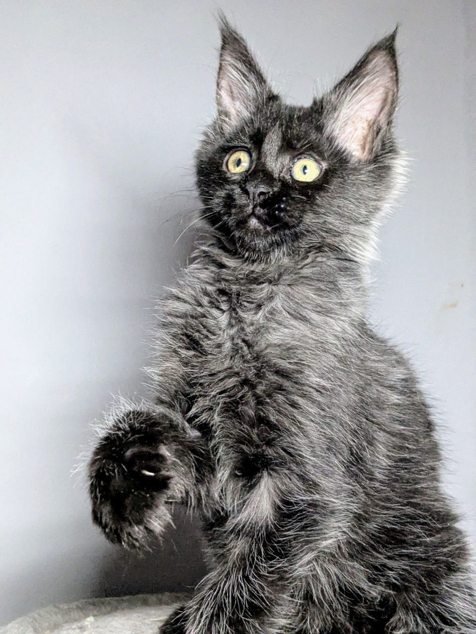 WhatsApp Image 2026-02-24 at 20.27.53 (5)