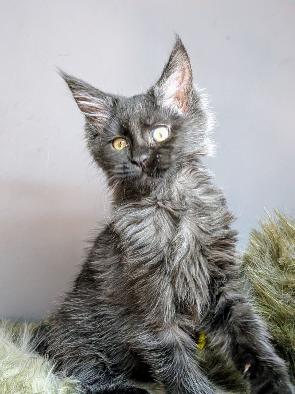 WhatsApp Image 2026-02-24 at 20.27.53