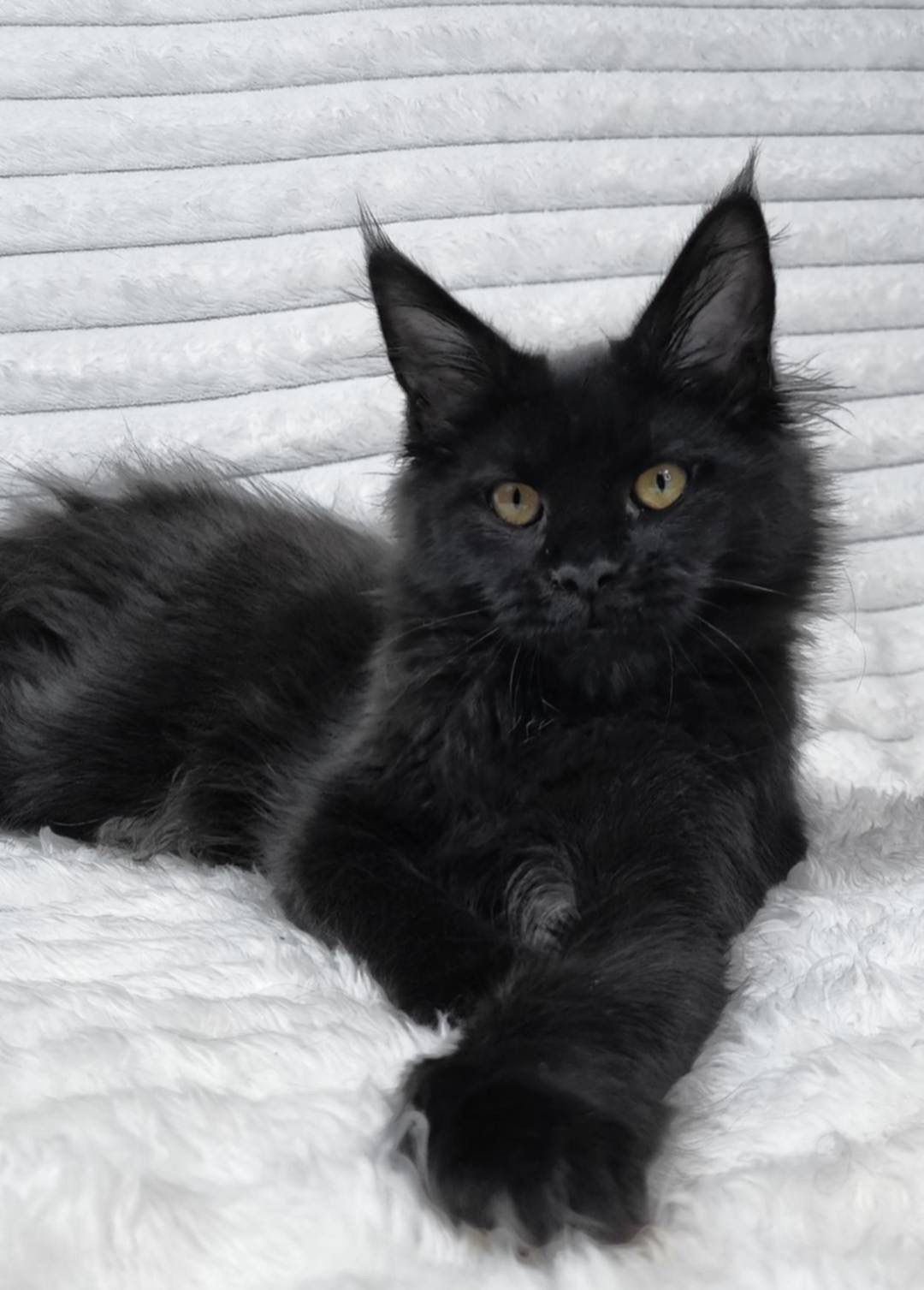 WhatsApp Image 2026-02-24 at 20.28.57