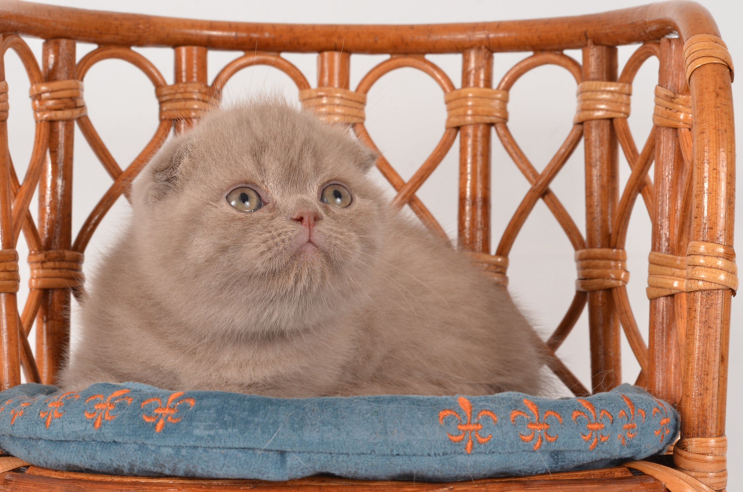 photo_2026-02-18_17-35-24