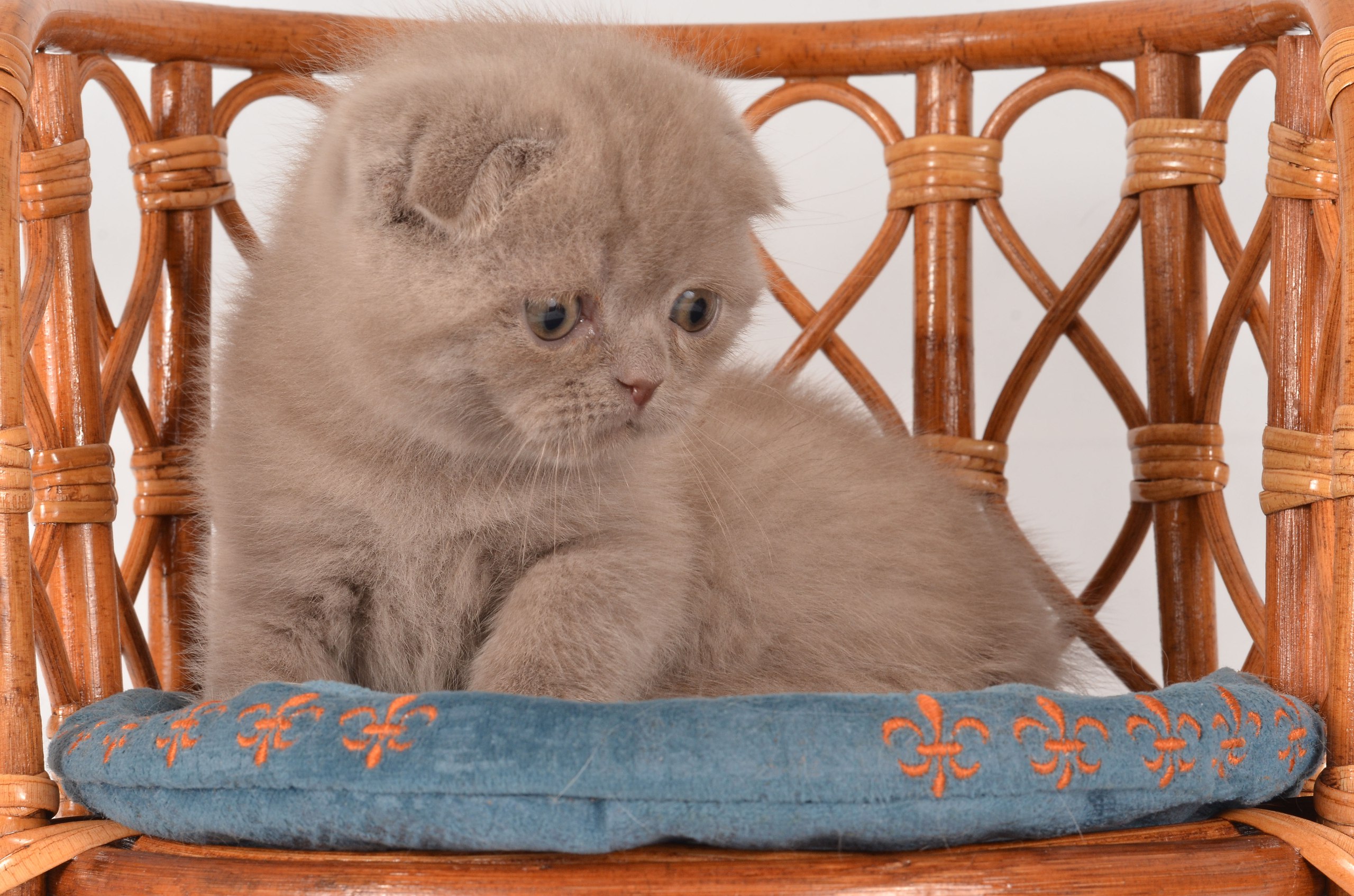 photo_2026-02-18_17-35-26