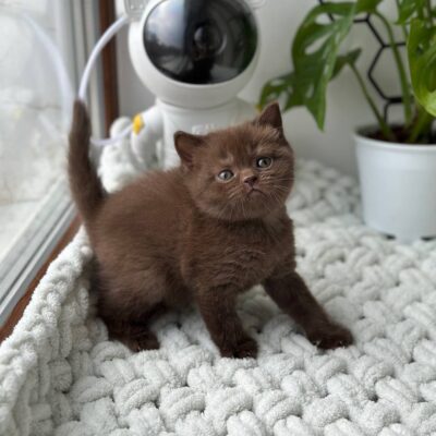 photo_2026-02-18_17-37-51