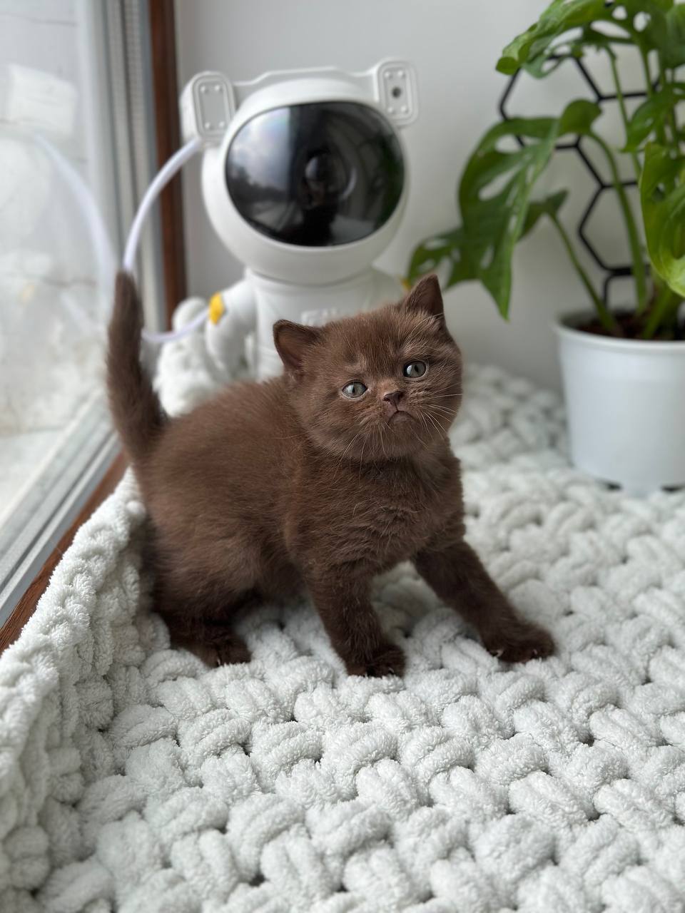 photo_2026-02-18_17-37-51