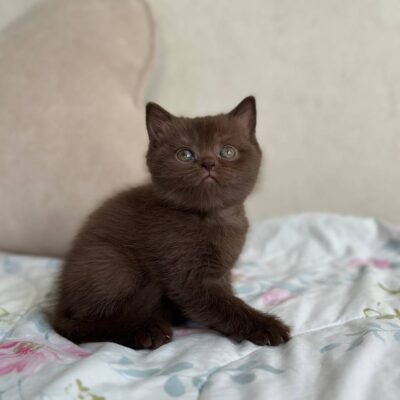 photo_2026-02-24_16-58-44