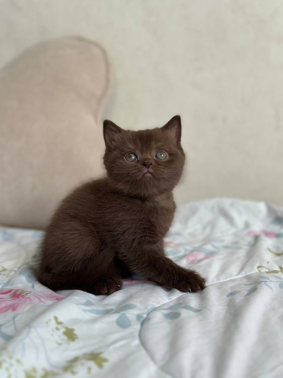 photo_2026-02-24_16-58-44