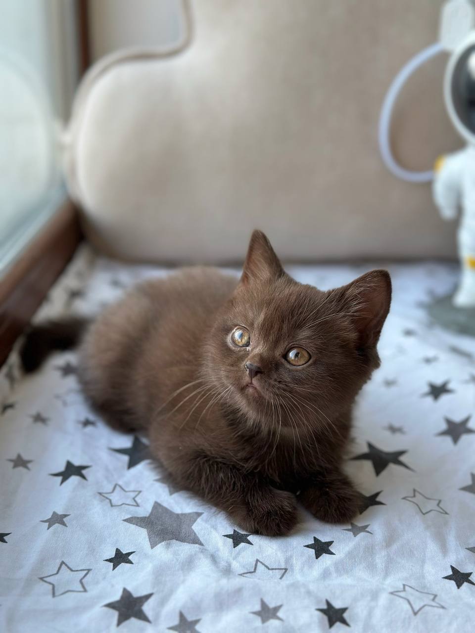 photo_2026-03-08_17-28-19