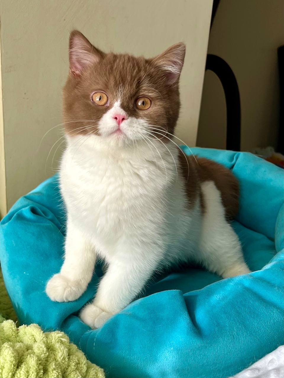 photo_2026-03-24_17-30-57