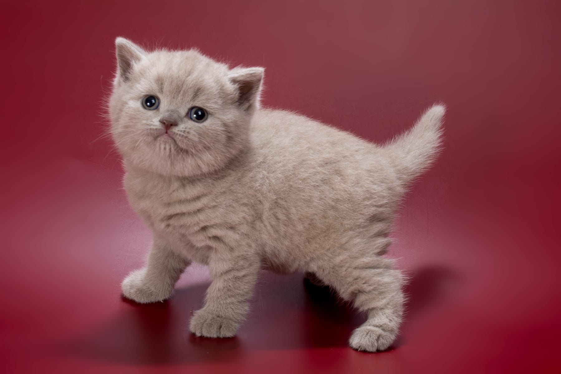 WhatsApp Image 2026-03-01 at 15.39.51 (1)