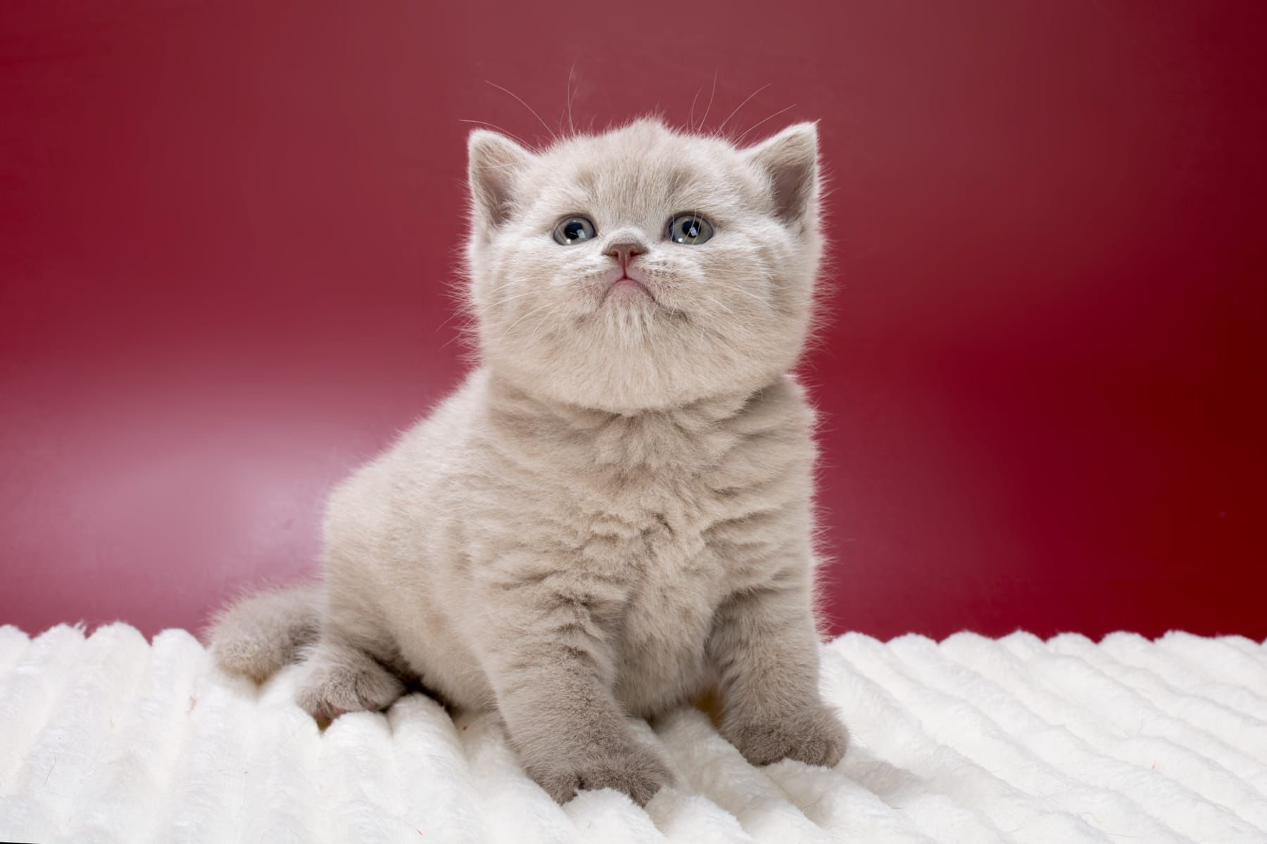 WhatsApp Image 2026-03-01 at 15.39.51 (2)