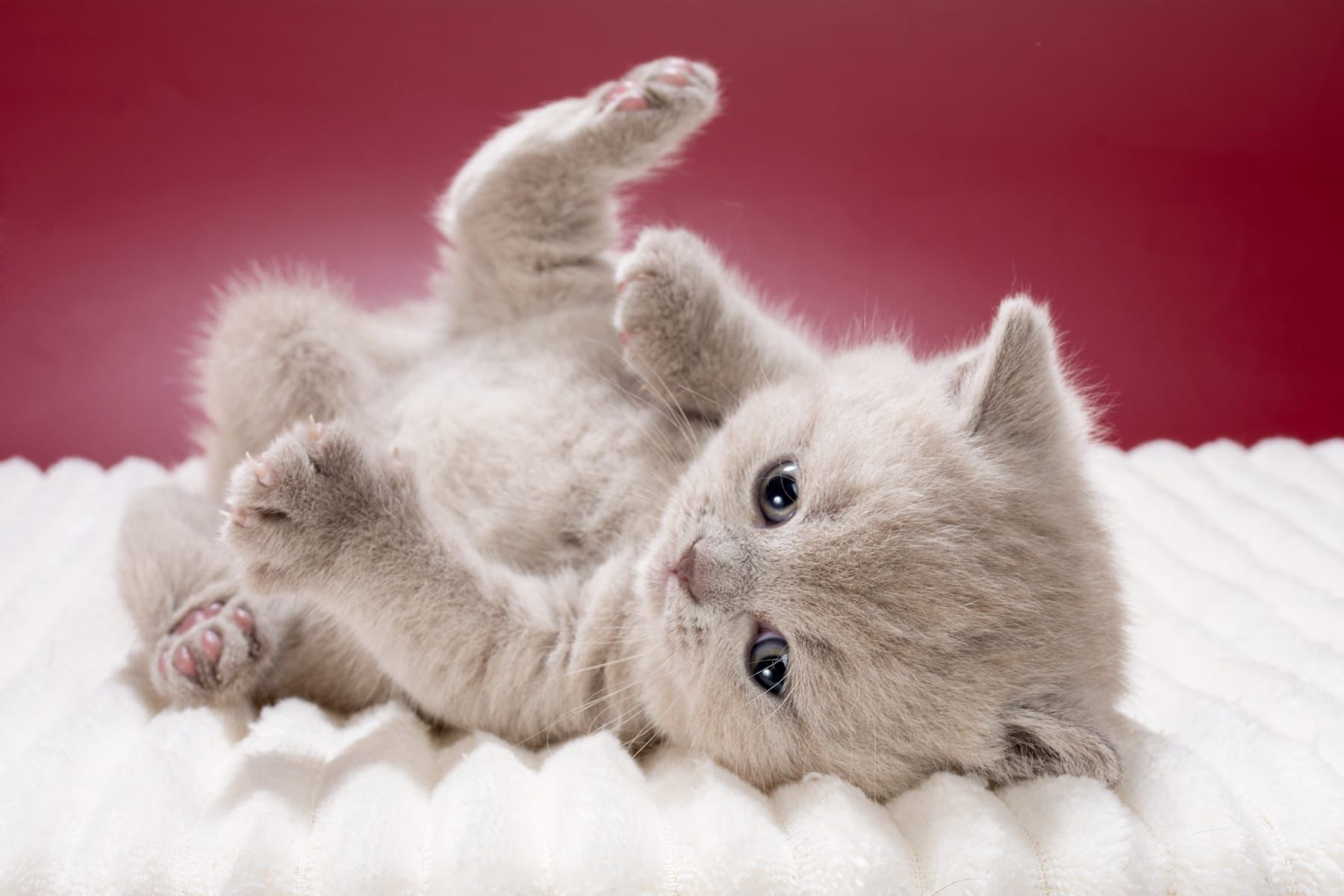 WhatsApp Image 2026-03-01 at 15.39.51 (5)