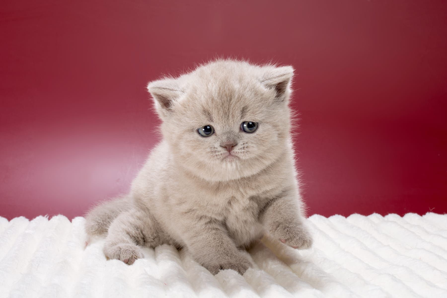 WhatsApp Image 2026-03-01 at 15.39.51