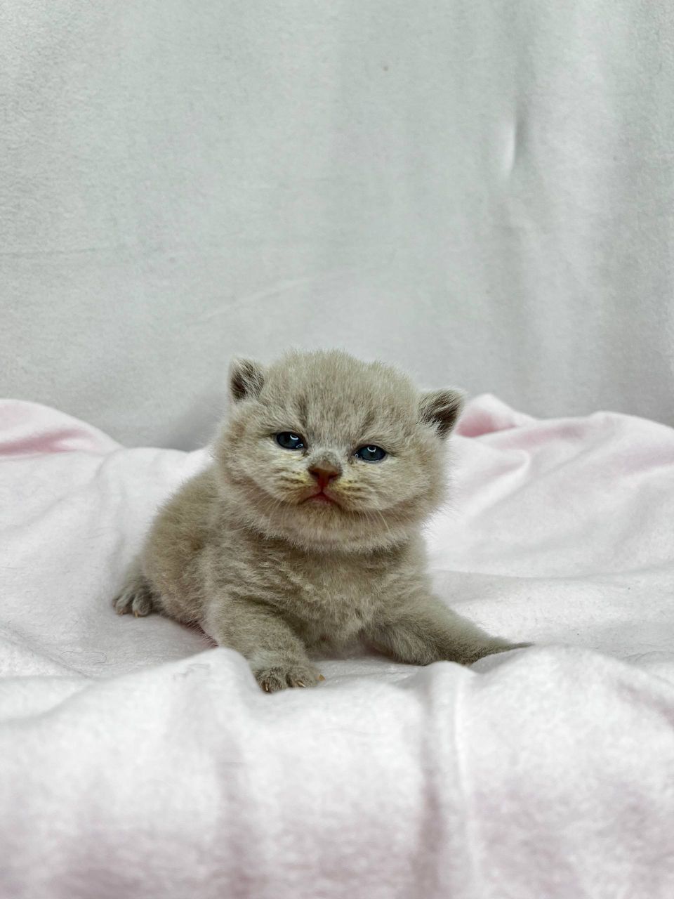 WhatsApp Image 2026-03-01 at 15.40.24 (1)