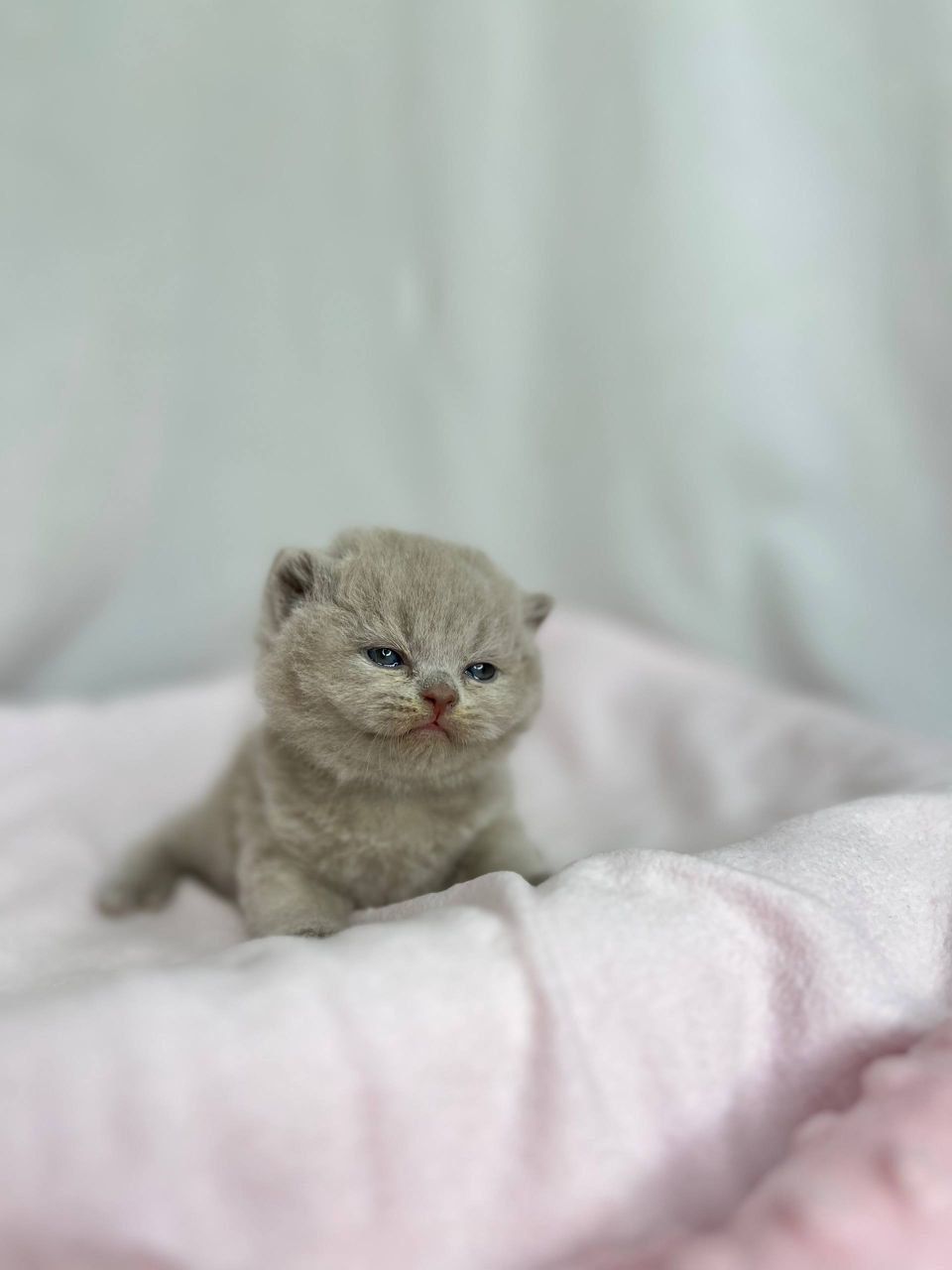 WhatsApp Image 2026-03-01 at 15.40.24