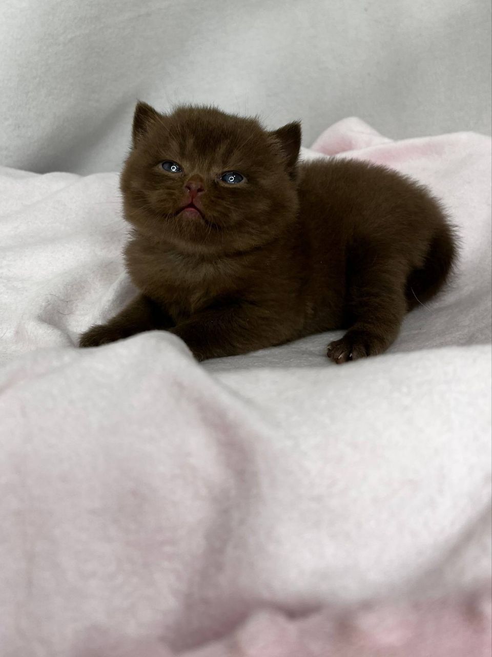 WhatsApp Image 2026-03-01 at 15.40.55 (2)