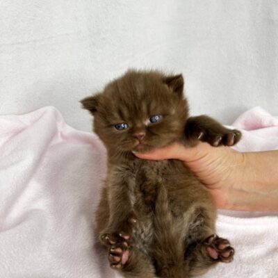 WhatsApp Image 2026-03-01 at 15.40.55 (3)