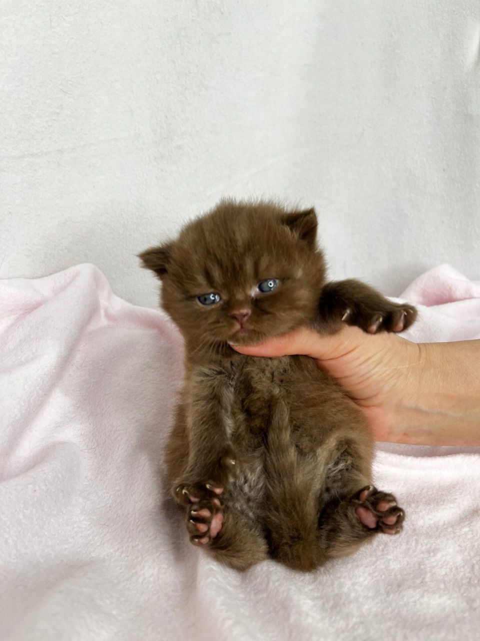 WhatsApp Image 2026-03-01 at 15.40.55 (3)