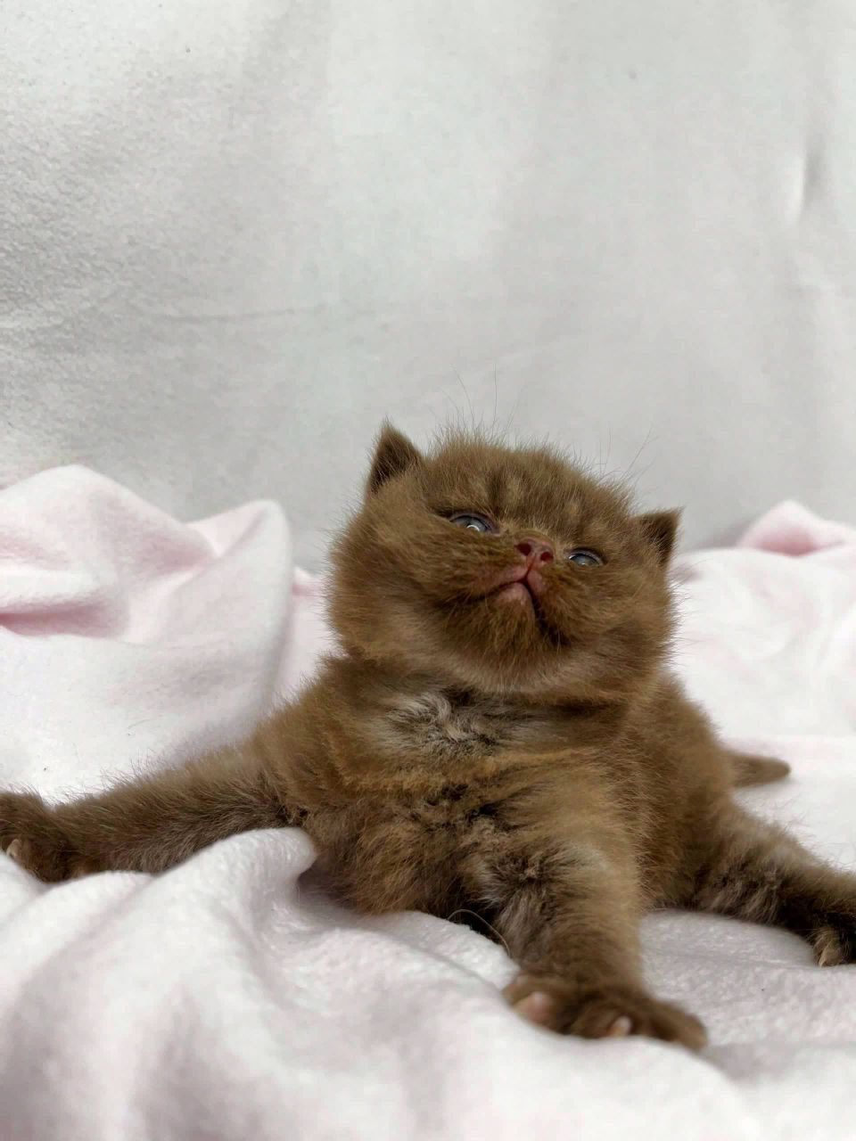 WhatsApp Image 2026-03-01 at 15.40.55