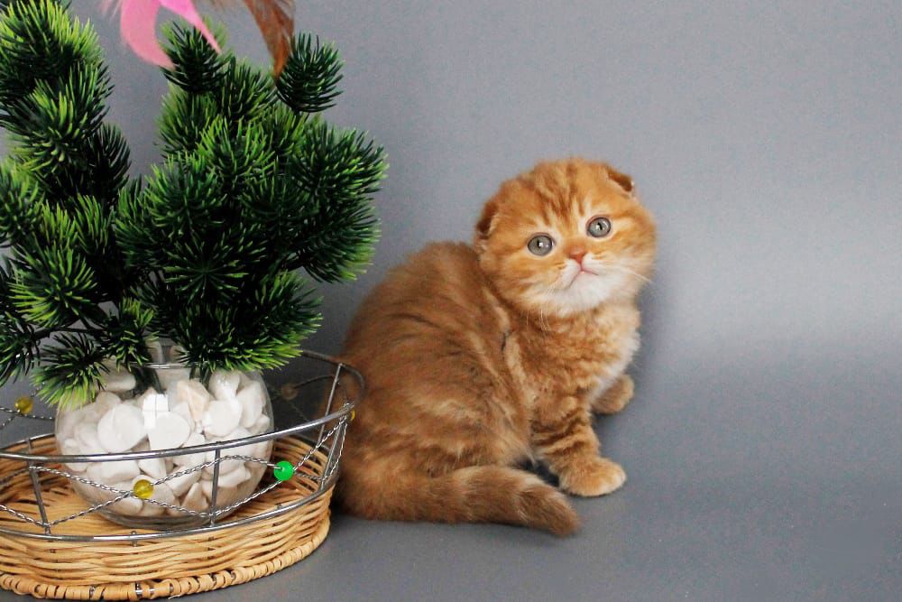 WhatsApp Image 2026-03-01 at 17.01.54 (3)