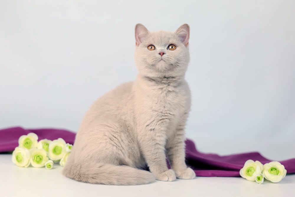 WhatsApp Image 2026-03-19 at 14.29.17 (1)