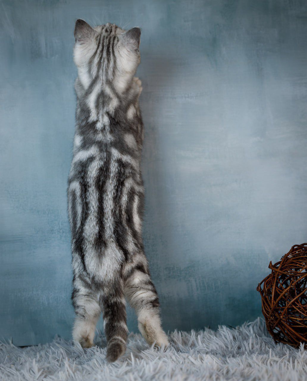 WhatsApp Image 2026-03-19 at 19.39.08 (2)