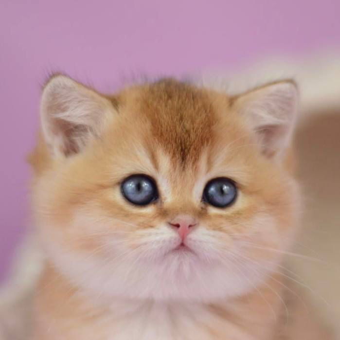 WhatsApp Image 2026-03-21 at 15.21.48 (3)