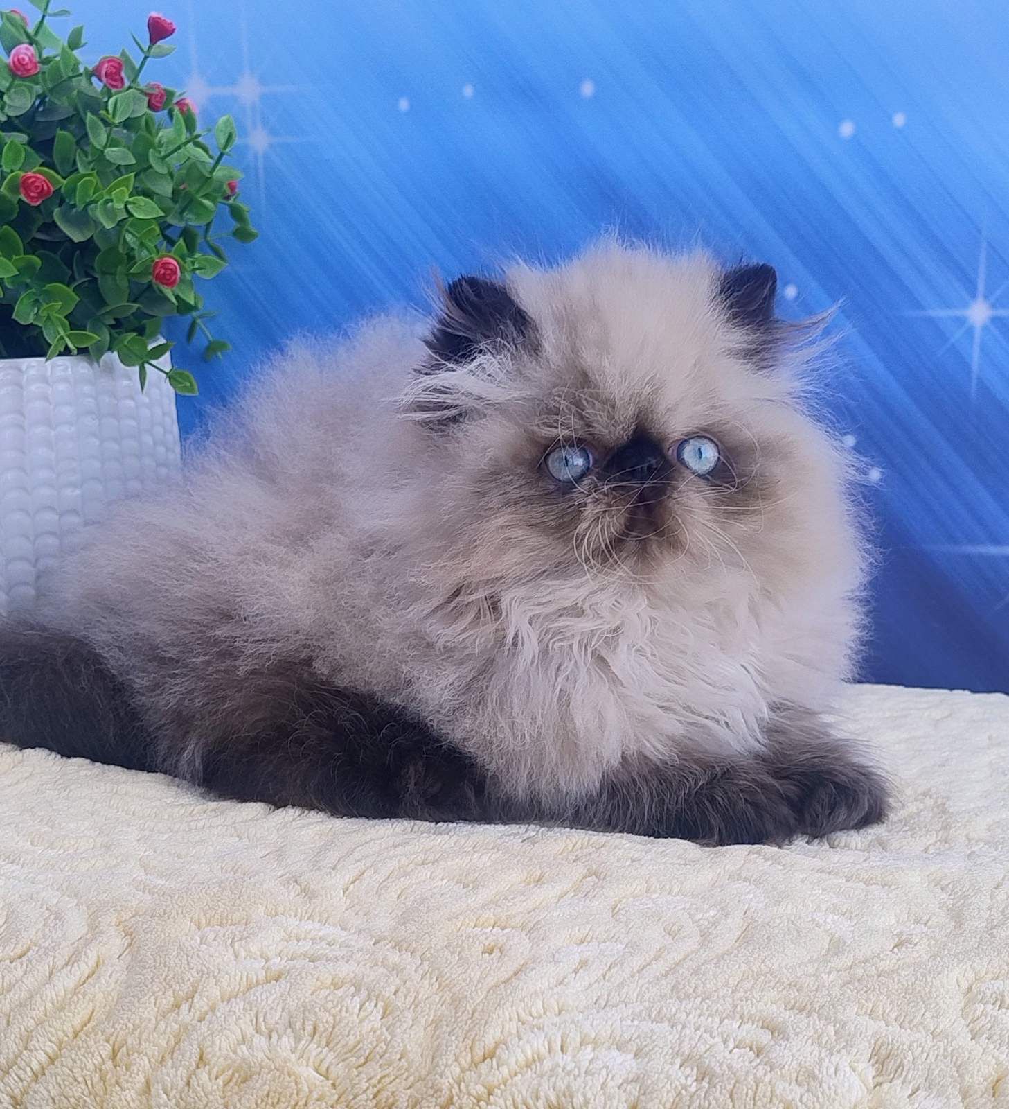 WhatsApp Image 2026-03-22 at 16.15.56 (3)