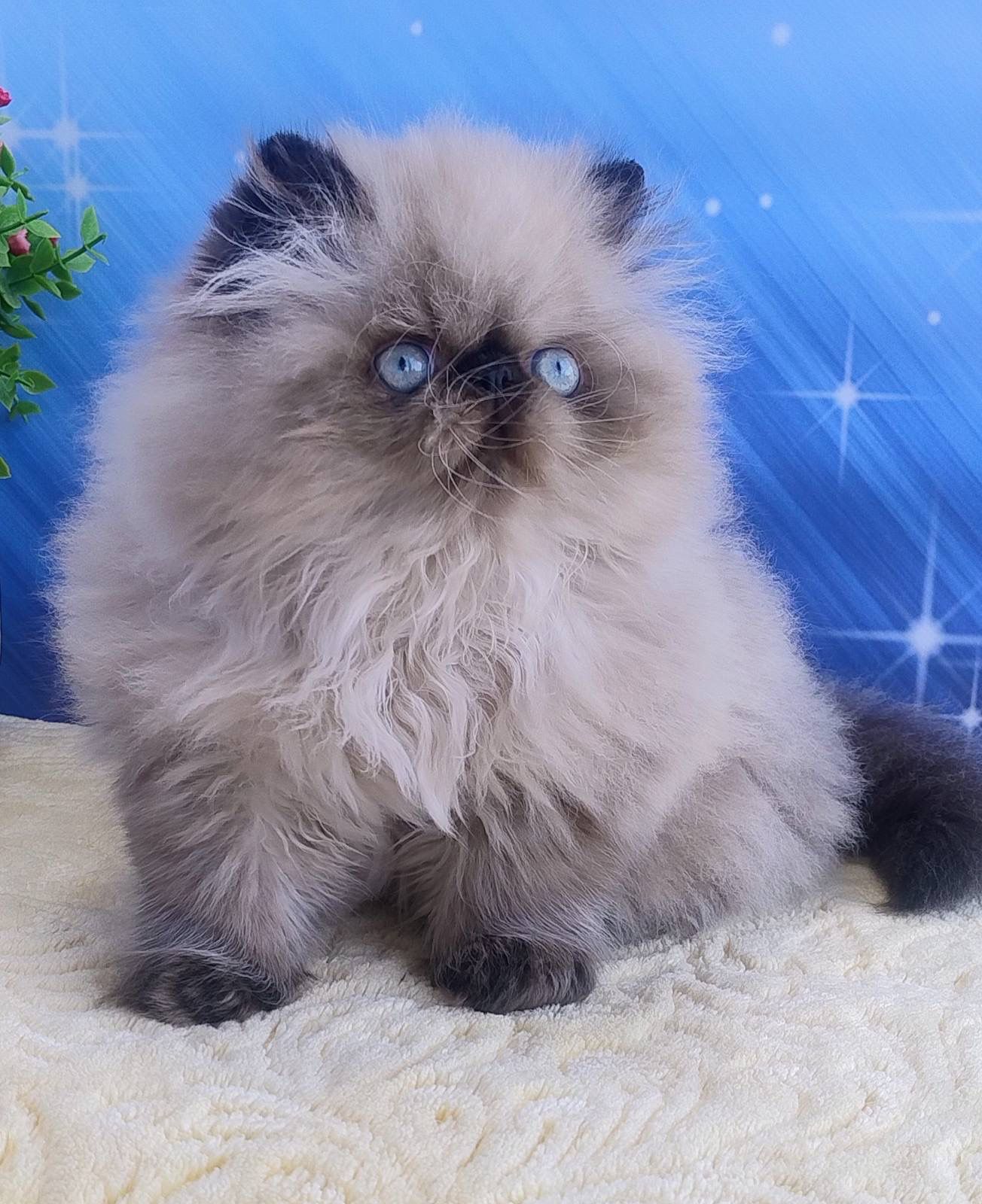 WhatsApp Image 2026-03-22 at 16.15.56 (4)