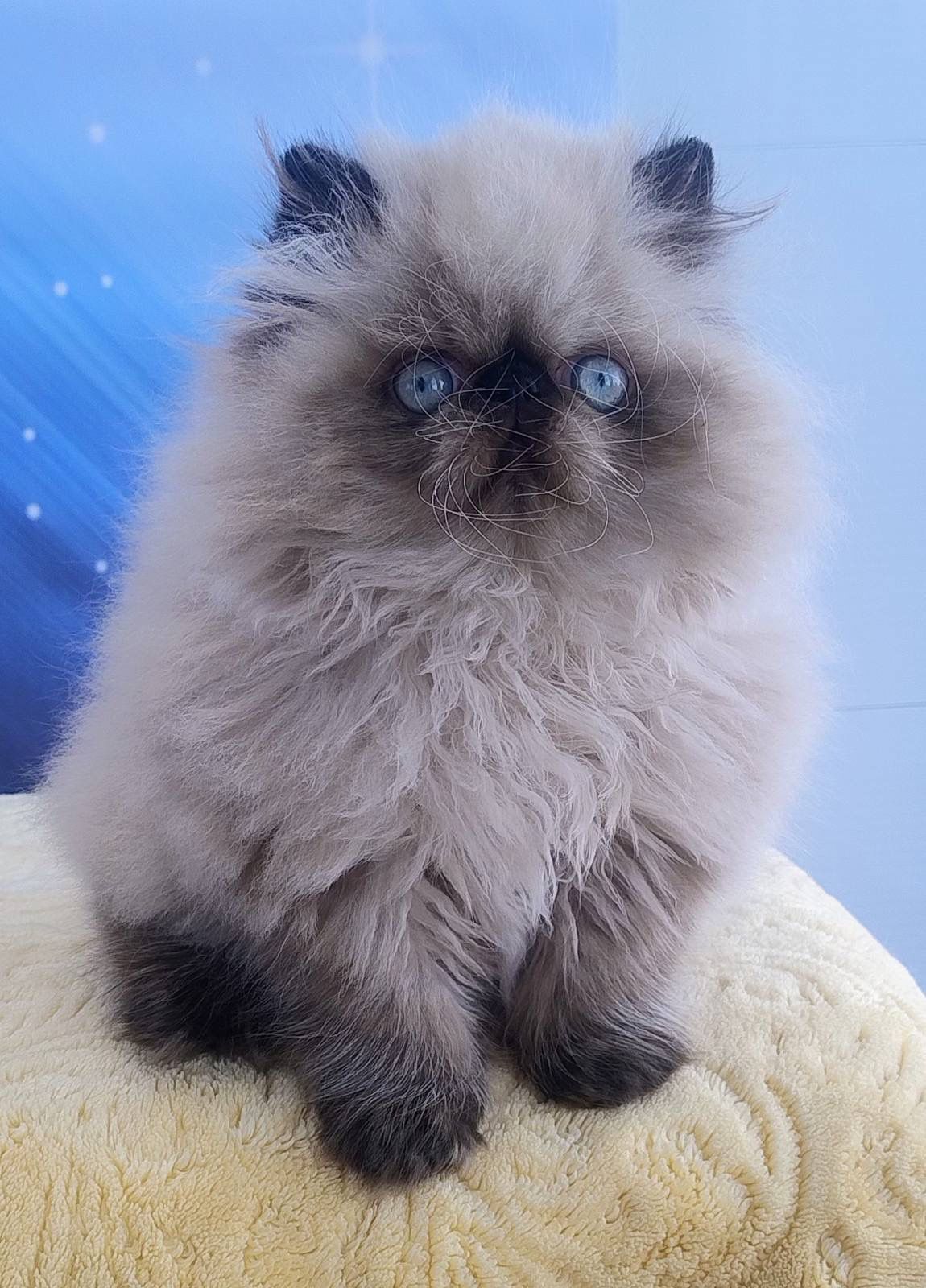 WhatsApp Image 2026-03-22 at 16.15.56