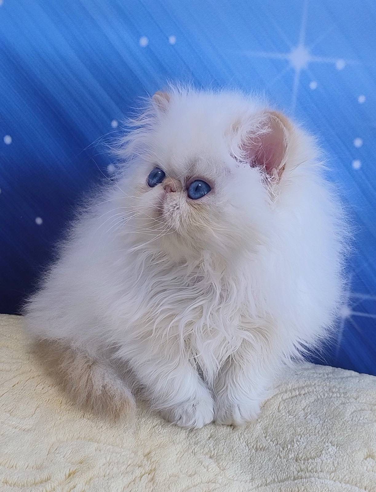 WhatsApp Image 2026-03-22 at 16.16.30 (2)