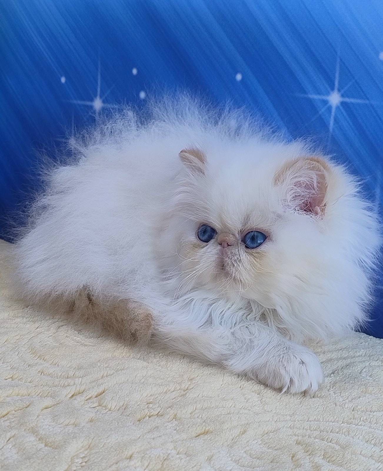 WhatsApp Image 2026-03-22 at 16.16.30 (3)