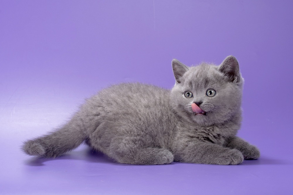 WhatsApp Image 2026-03-25 at 10.54.29 (1)