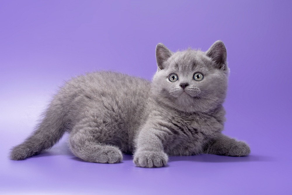 WhatsApp Image 2026-03-25 at 10.54.29 (2)