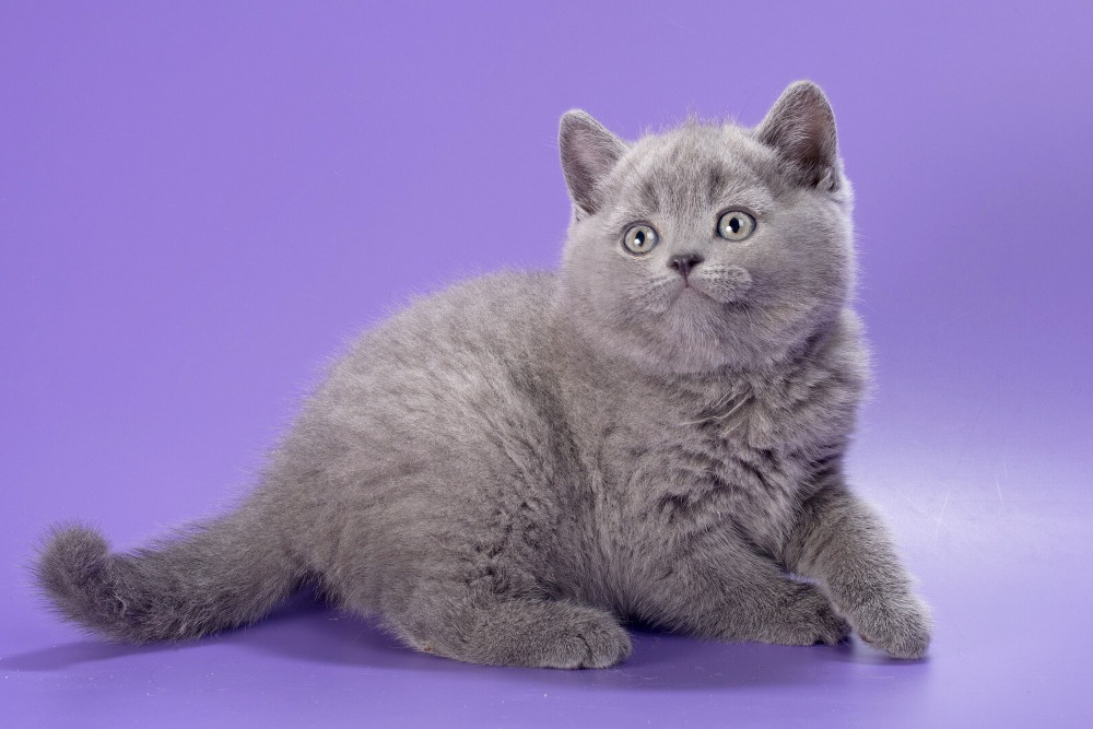 WhatsApp Image 2026-03-25 at 10.54.29