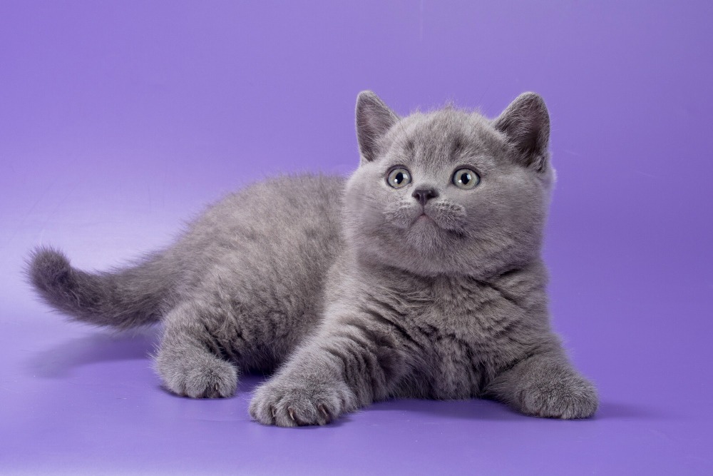 WhatsApp Image 2026-03-25 at 10.54.30