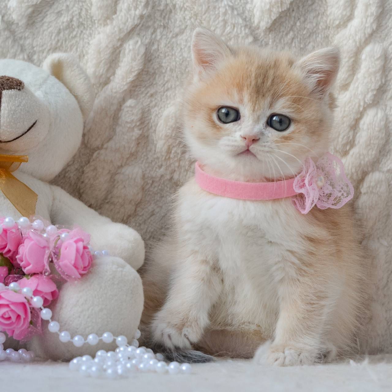 WhatsApp Image 2026-03-25 at 18.15.44 (1)