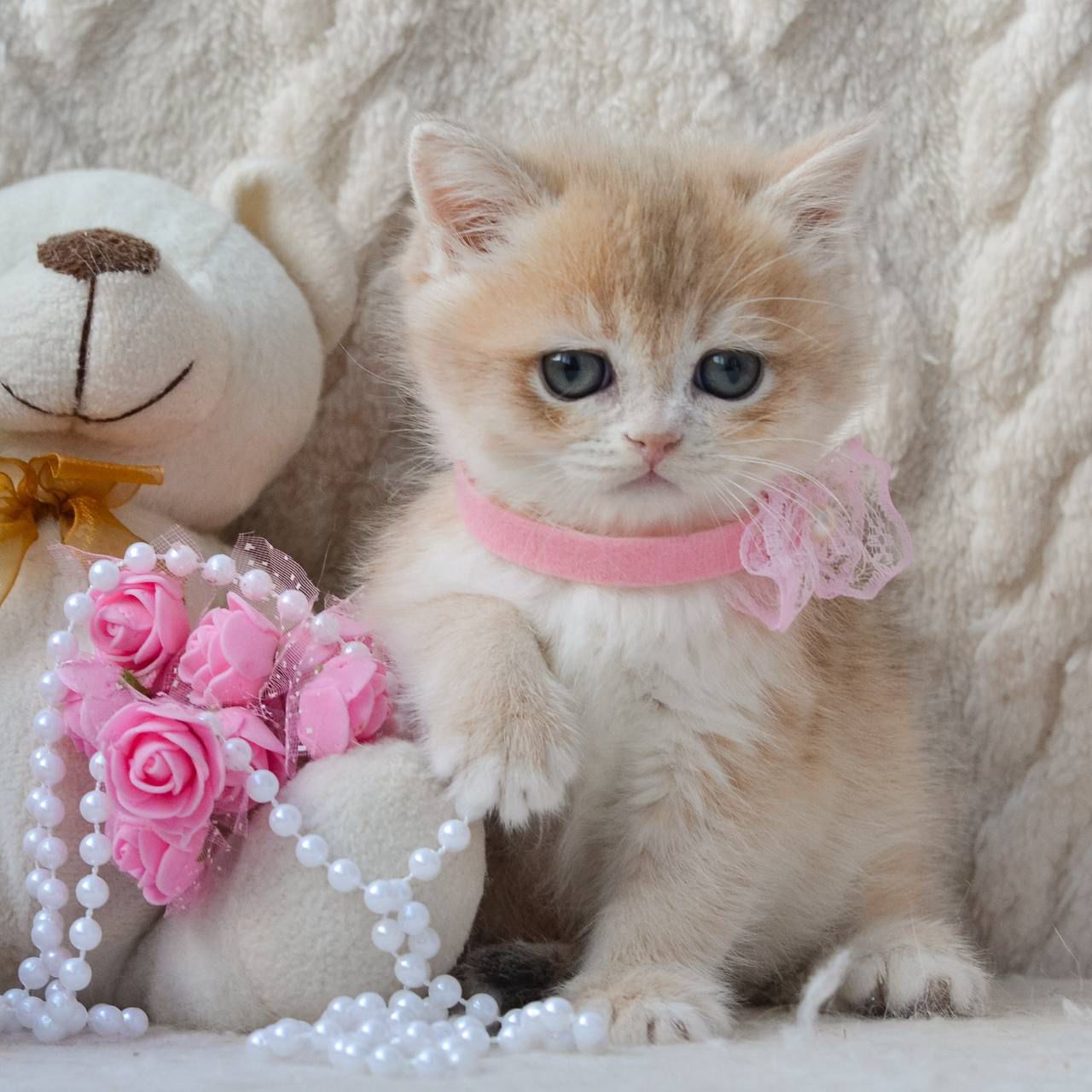 WhatsApp Image 2026-03-25 at 18.15.46 (2)