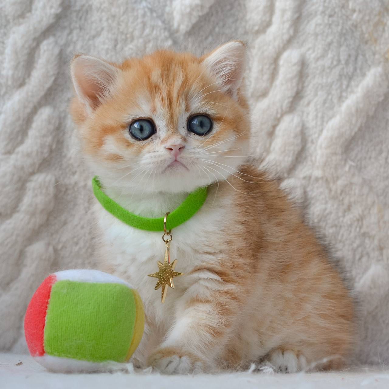 WhatsApp Image 2026-03-25 at 18.16.34