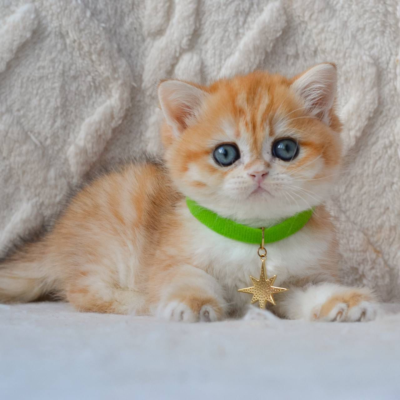 WhatsApp Image 2026-03-25 at 18.16.35 (3)