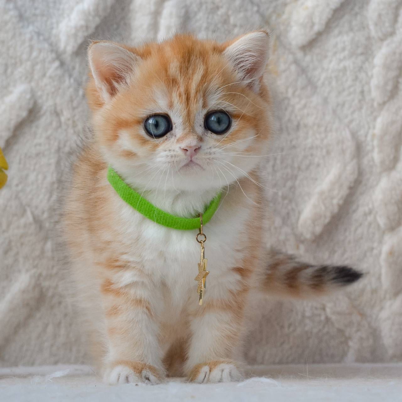 WhatsApp Image 2026-03-25 at 18.16.35 (4)