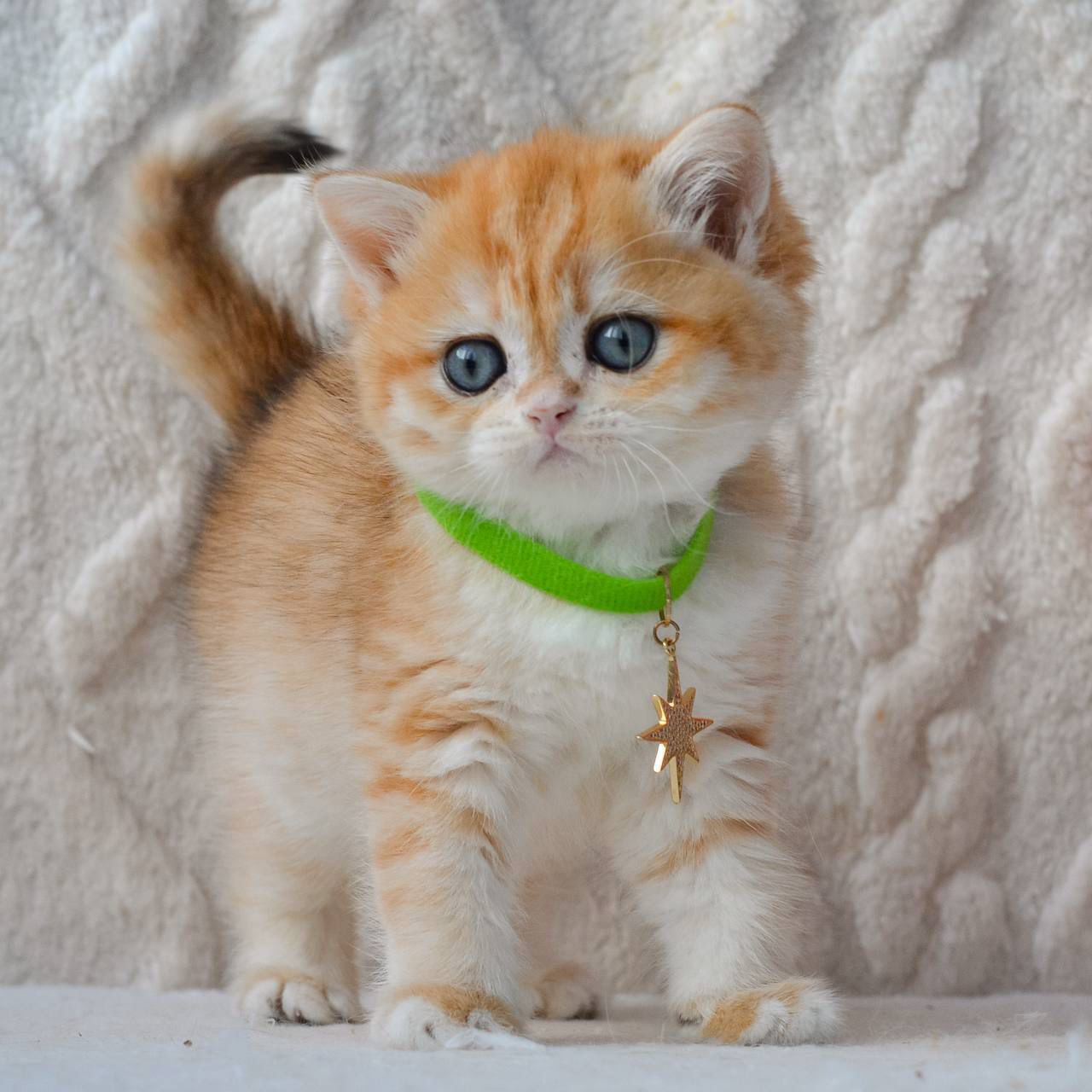 WhatsApp Image 2026-03-25 at 18.16.35