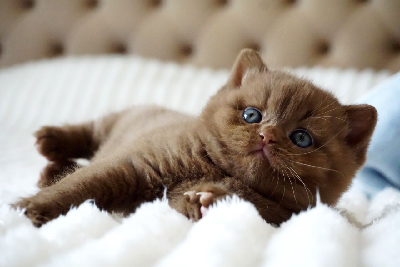 WhatsApp Image 2026-03-28 at 18.32.32 (5)