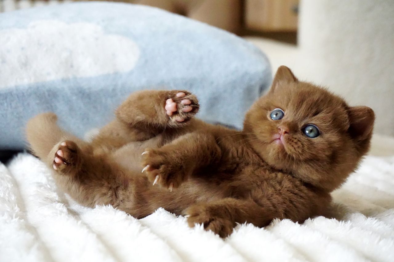 WhatsApp Image 2026-03-28 at 18.32.32 (6)