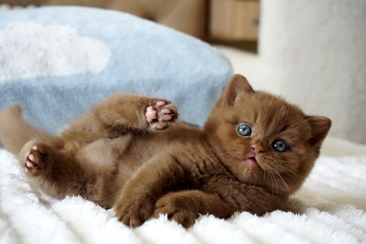 WhatsApp Image 2026-03-28 at 18.32.32 (7)