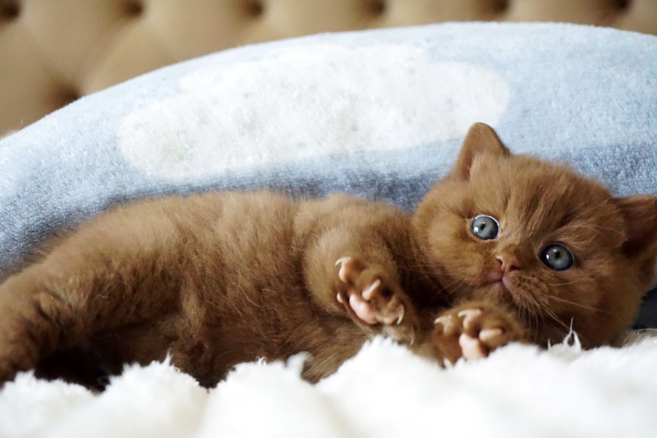 WhatsApp Image 2026-03-28 at 18.32.32